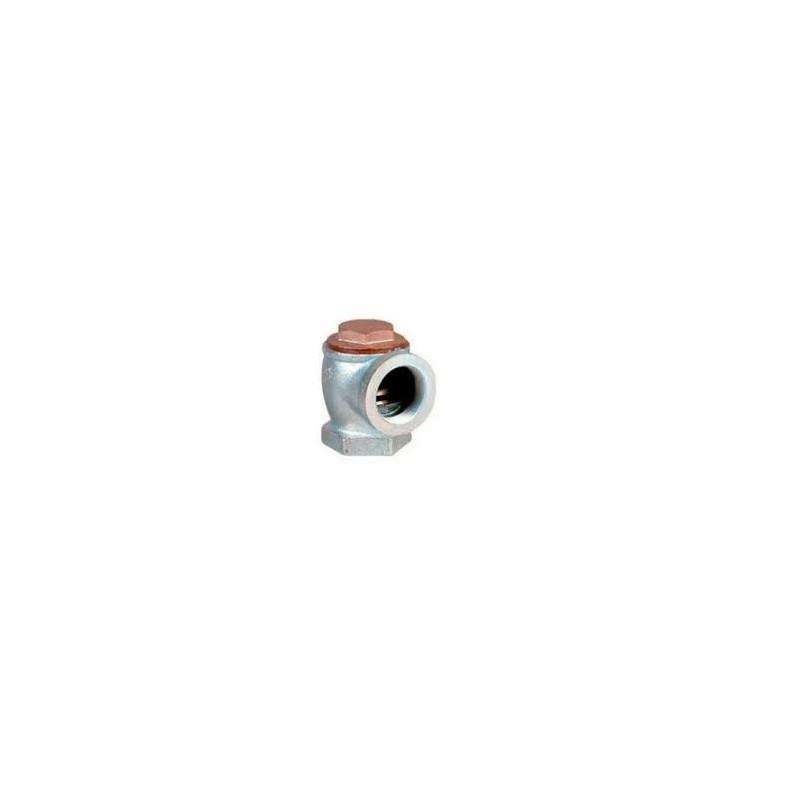 Leader G.M Angel Check Valve