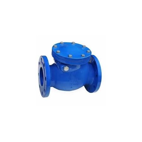 Non return Valve