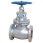 Leader C.S Globe Valve Class-300