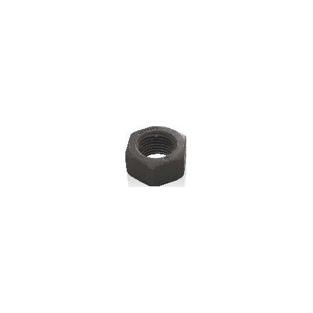 Hex Nut