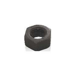 Hex Nut