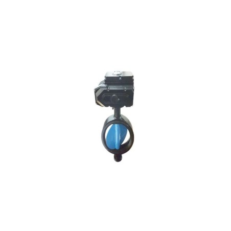 Butterfly Valve