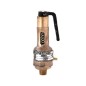 Sant Bronze Safety Valve Straight Type