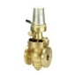 Sant Bronze Pilot Operated R Type Reducing Valve