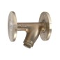 Sant Bronze Y Type Strainer Flanges