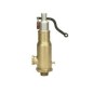 Sant Bronze Safety Valve