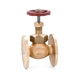 Globe Valve