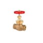 SBM Bronze Union Bronze Globe Valve