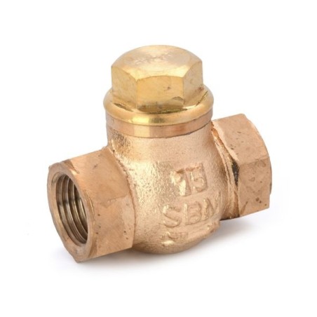 Check Valve