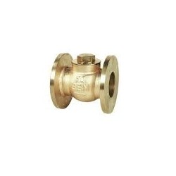 Check Valve