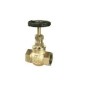 SBM Bronze Globe Valve No.5