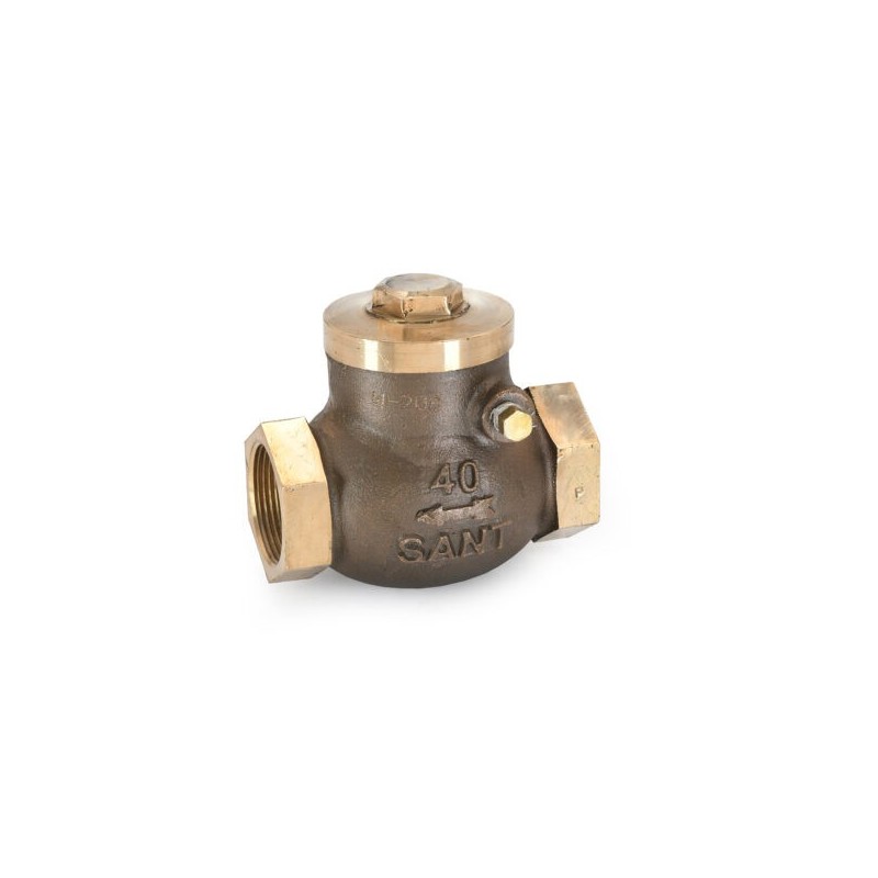 Sant Bronze Swing Check Valve