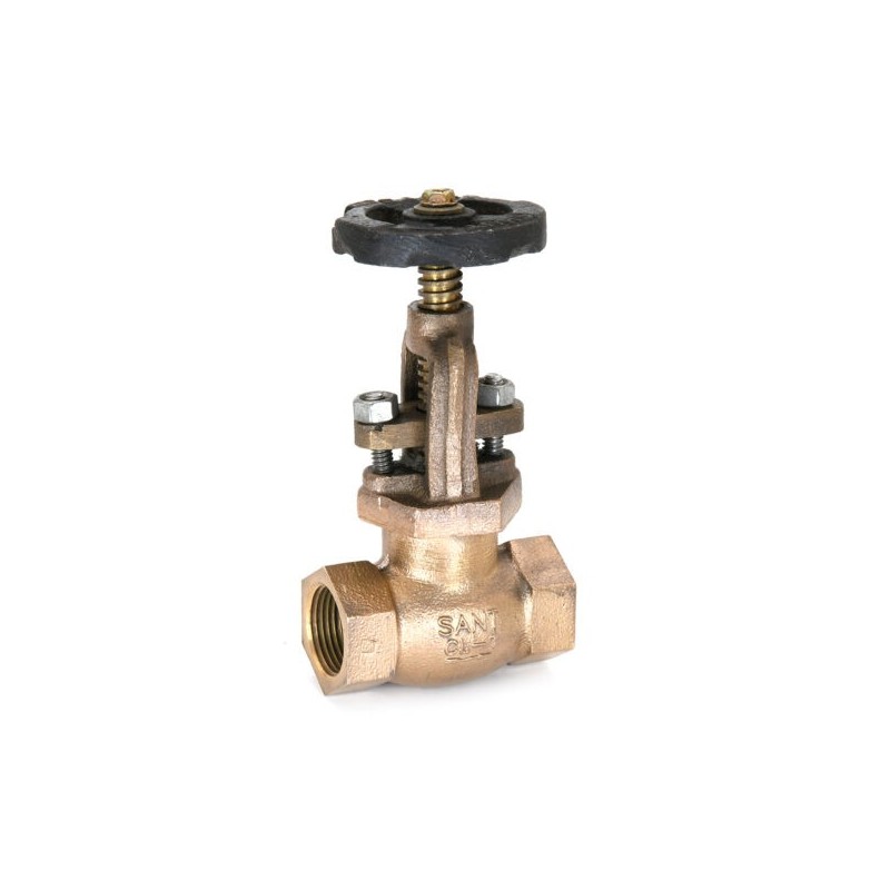 Sant Bronze Globe Valve Class-1