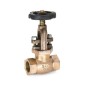 Sant Bronze Globe Valve Class-1