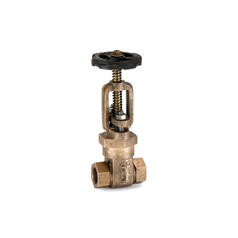 Sant Bronze Gate Valve Class-2