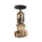 Sant Bronze Gate Valve Class-2