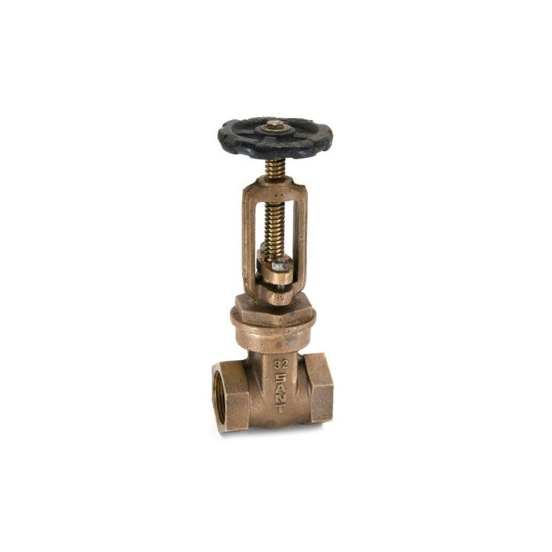 Sant Bronze Gate Valve Class-1