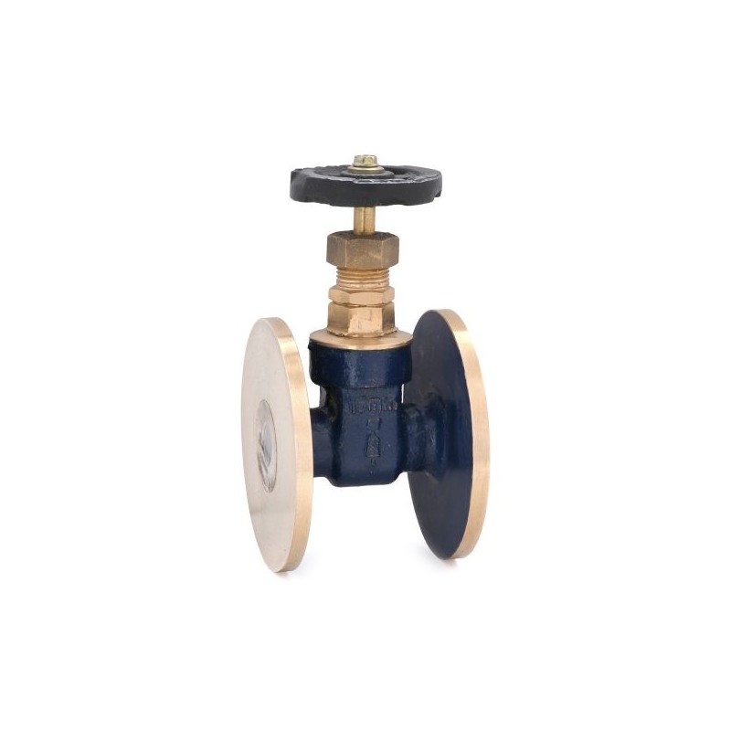 Sant Bronze Gate Valve Flanged