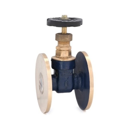 Gate Valve