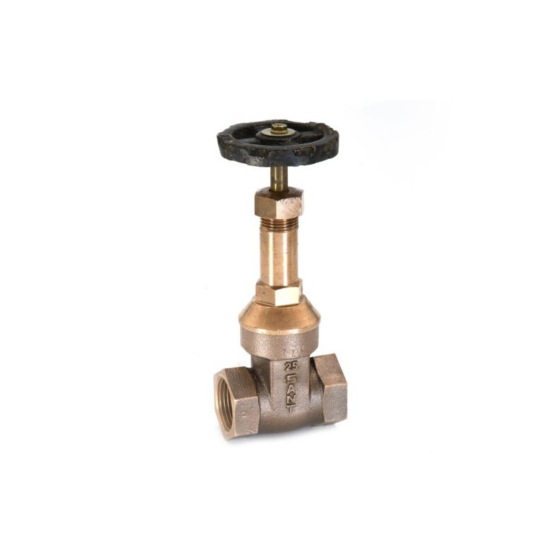 Sant Bronze Gate Valve Rising Stem Screwed