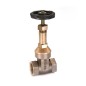 Sant Bronze Gate Valve Rising Stem Screwed