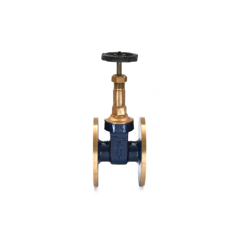 Sant Bronze Gate Valve  Rising Stem flanged