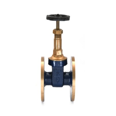 Gate Valve