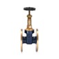 Sant Bronze Gate Valve  Rising Stem flanged