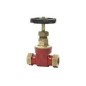 Sant Bronze Gate Valve IS-778 -1971 Screwed