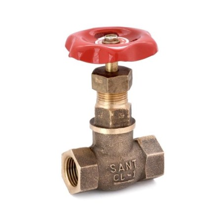 Globe Valve