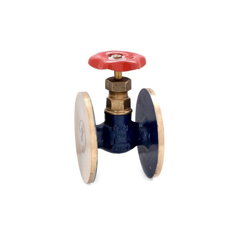 Sant Bronze Globe Valve Flanged Class-1