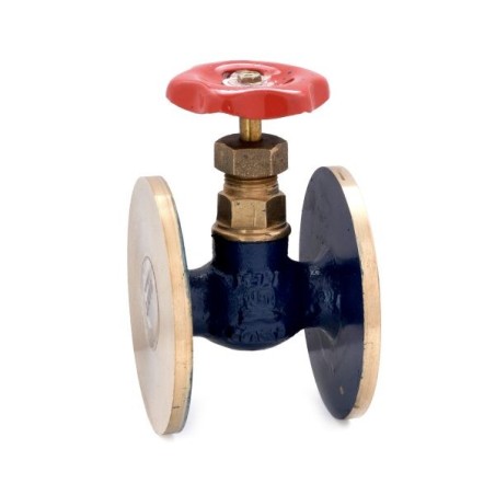 Globe Valve