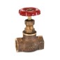 Sant Bronze Globe Valve Screwed ISI Marked