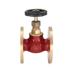 Globe Valve