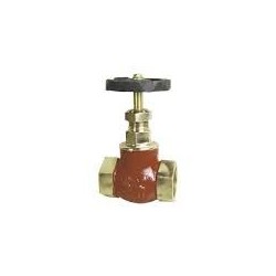 Globe Valve