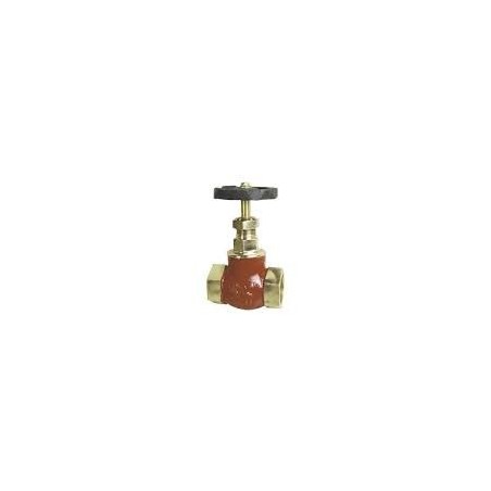 Globe Valve