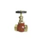 Sant Bronze Globe Valve Screwed Class-3