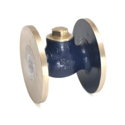 Check Valve