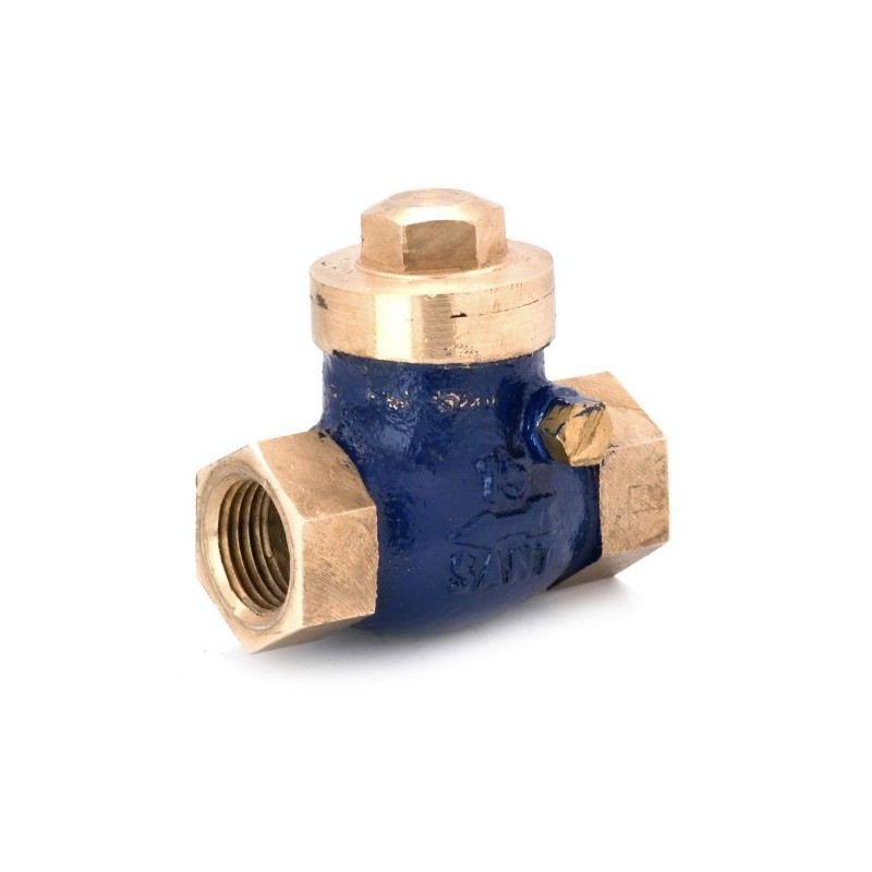 Sant Bronze Swing Check Valve