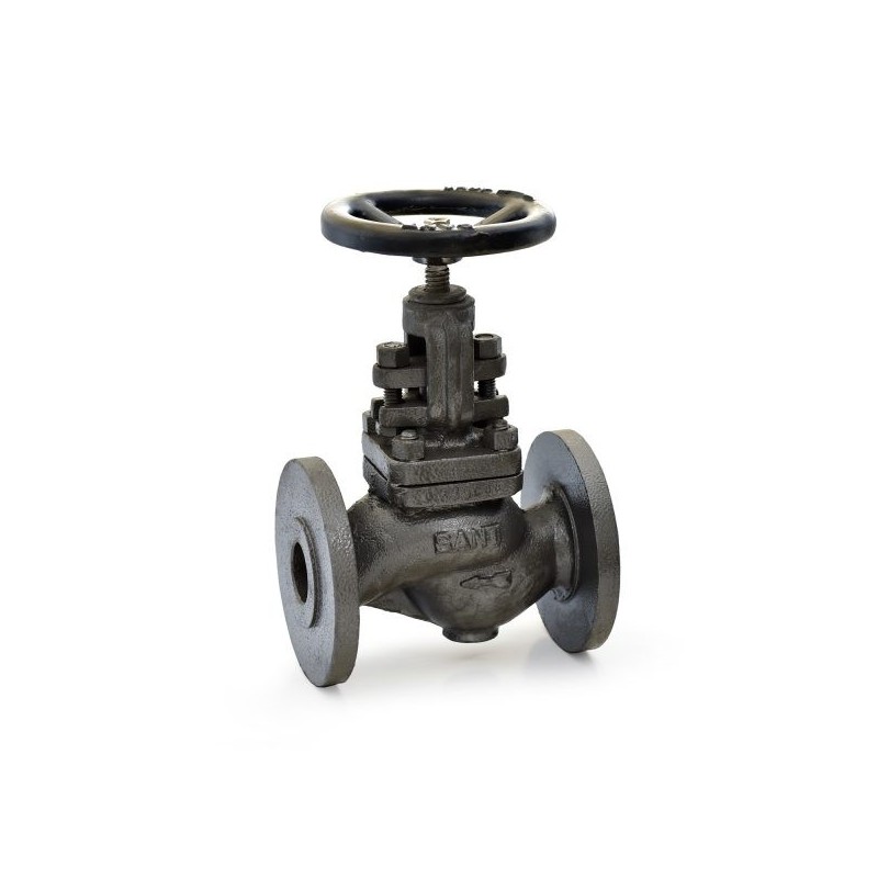 Sant CI Globe Valve Flanges PN-16