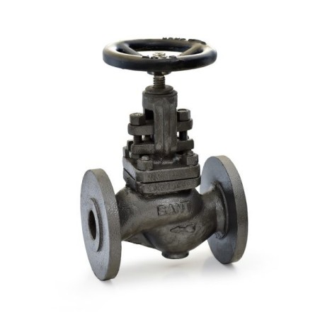 Globe Valves