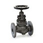 Sant CI Globe Valve Flanges PN-16