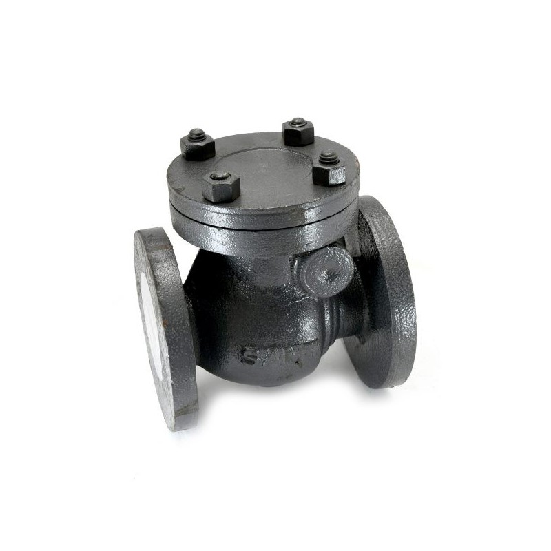 Sant CI Swing Check Valve