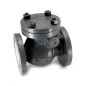 Sant CI Swing Check Valve