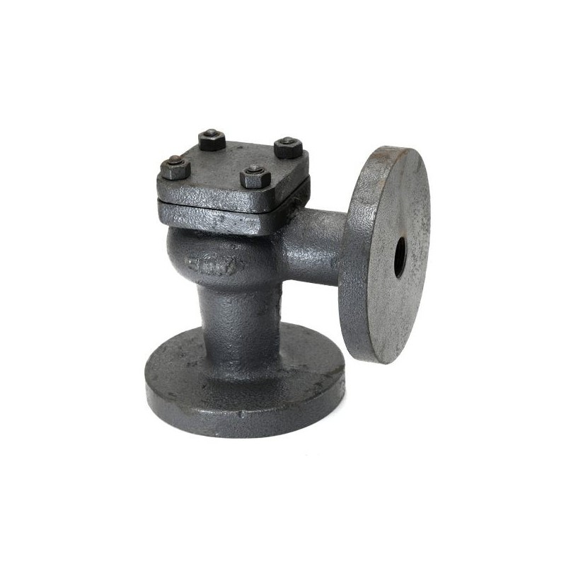 Sant CI Lift Check Valve