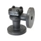 Sant CI Lift Check Valve