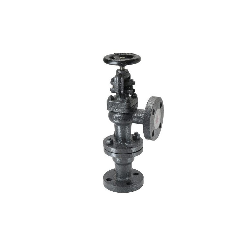 Sant CI Accessible Feed Check Valve