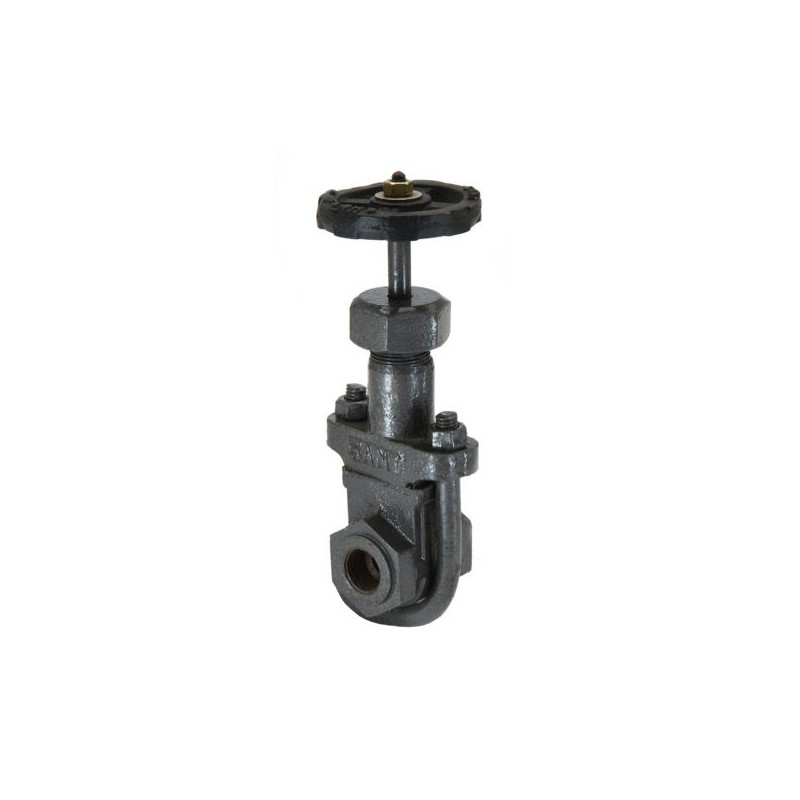 Sant CI Gate Valve - All Iron