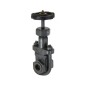 Sant CI Gate Valve - All Iron