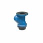 Sant CI Ball Foot Valve